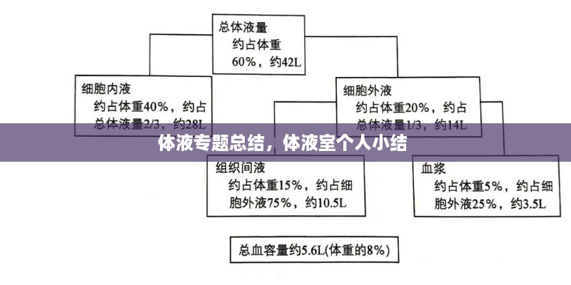 体液专题总结，体液室个人小结 