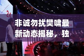 非诚勿扰樊啸最新动态揭秘，独家爆料吸引眼球！
